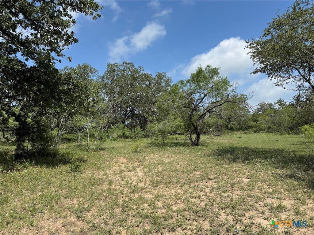 50 acres in Gonzales County - photo 14