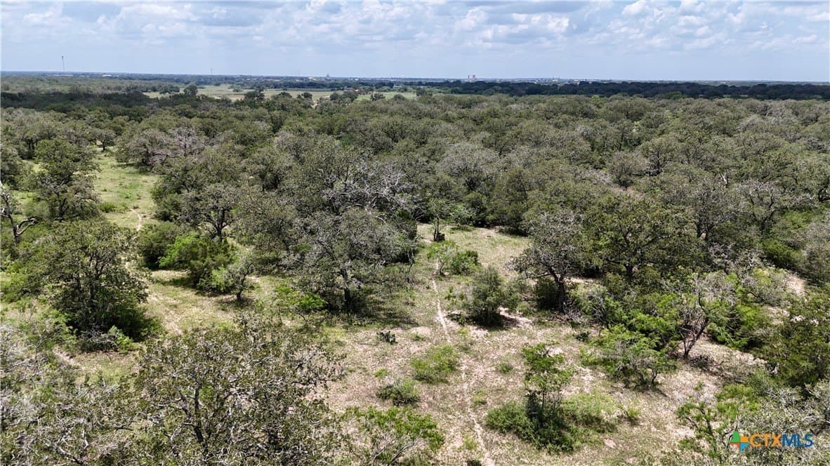 50 acres in Gonzales County - photo 7