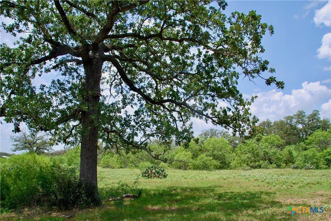 50 acres in Gonzales County - photo 15