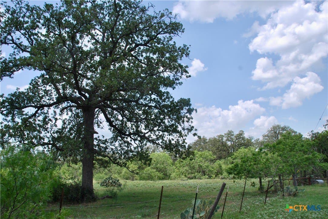 50 acres in Gonzales County - photo 16