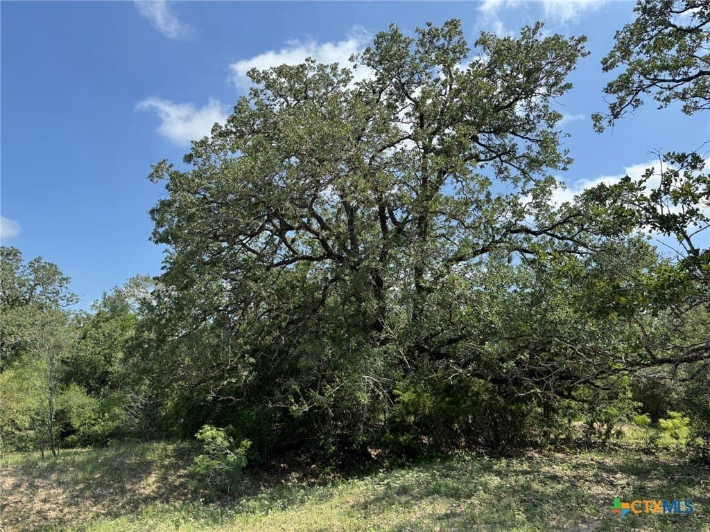 50 acres in Gonzales County - photo 32