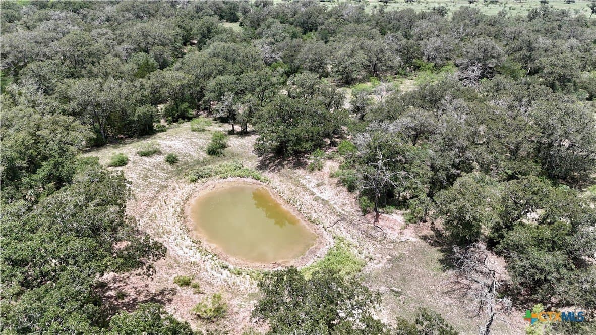 50 acres in Gonzales County - photo 6