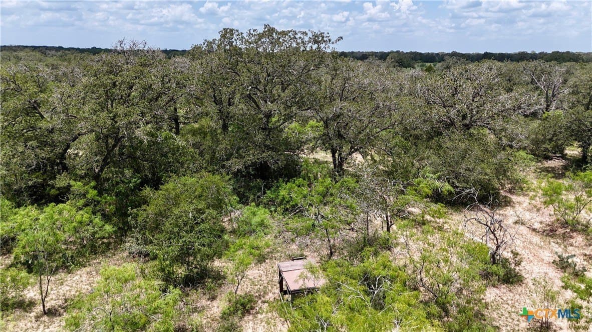 50 acres in Gonzales County - photo 12