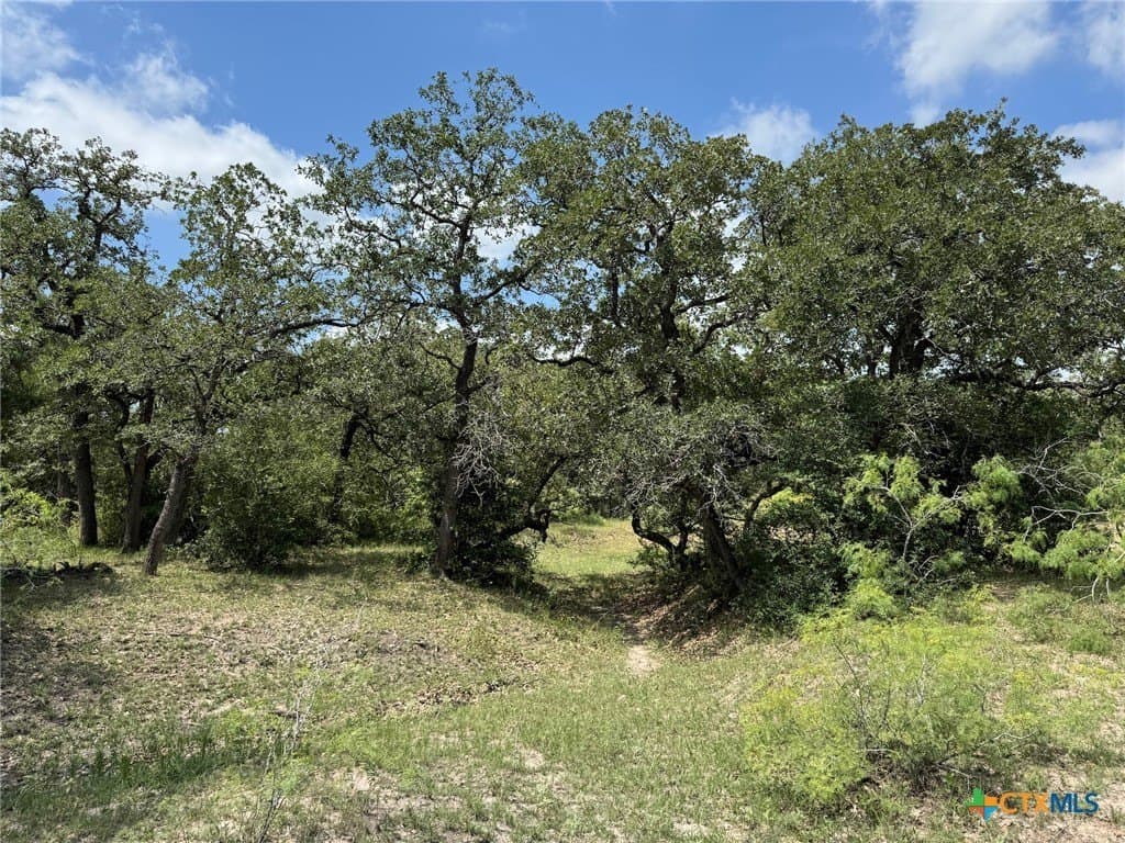 50 acres in Gonzales County - photo 33