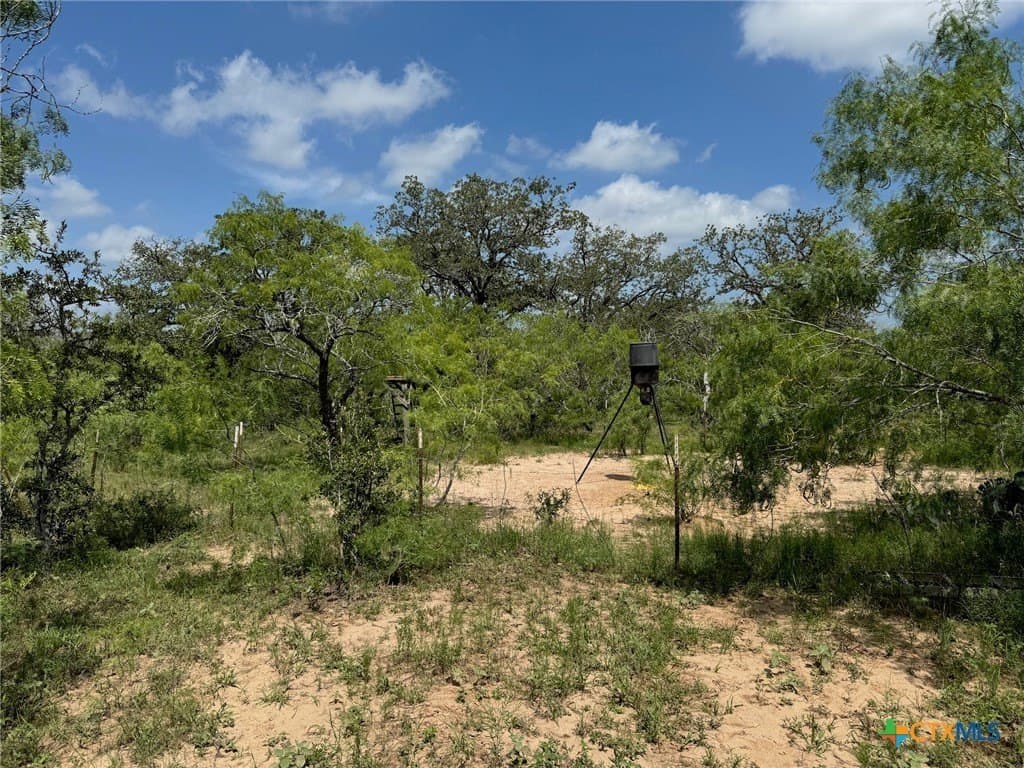 50 acres in Gonzales County - photo 18