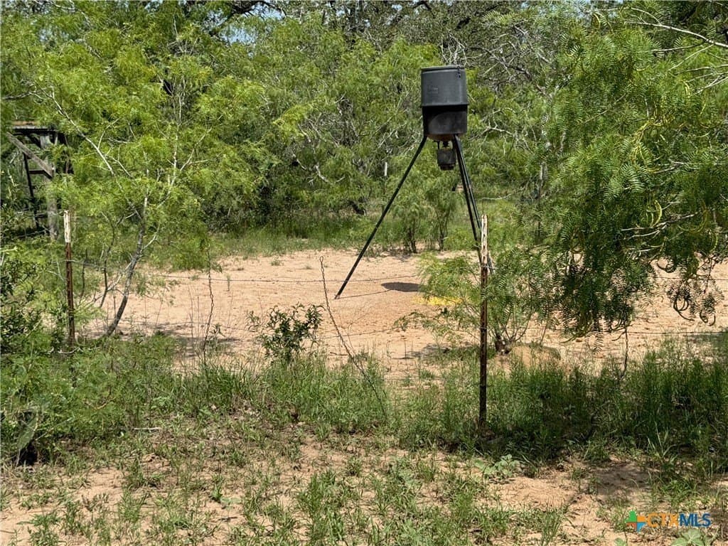 50 acres in Gonzales County - photo 19