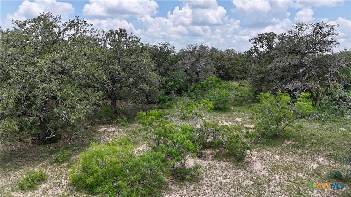 50 acres in Gonzales County - photo 10