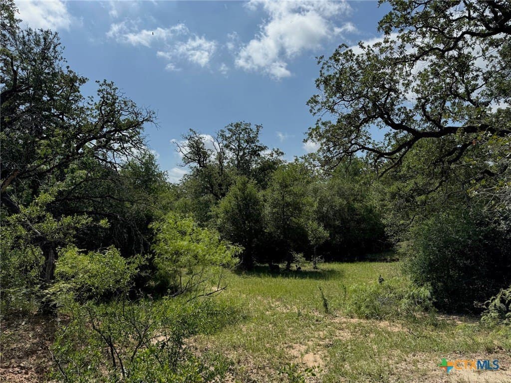 50 acres in Gonzales County - photo 29