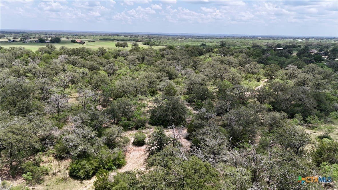 50 acres in Gonzales County - photo 9