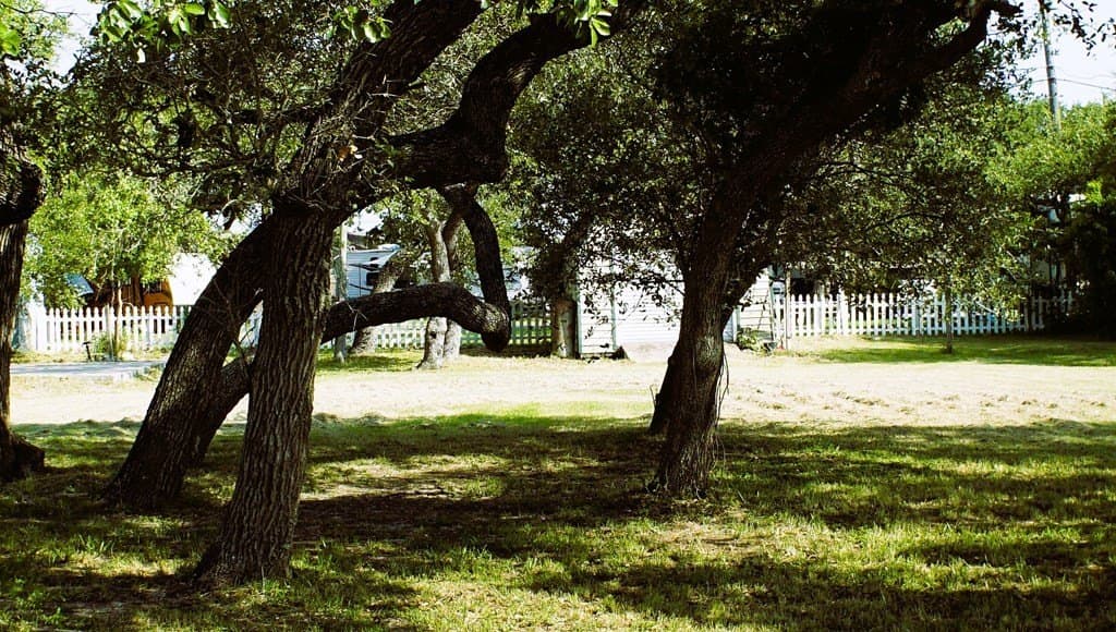 0 acres in Texas County - photo 10