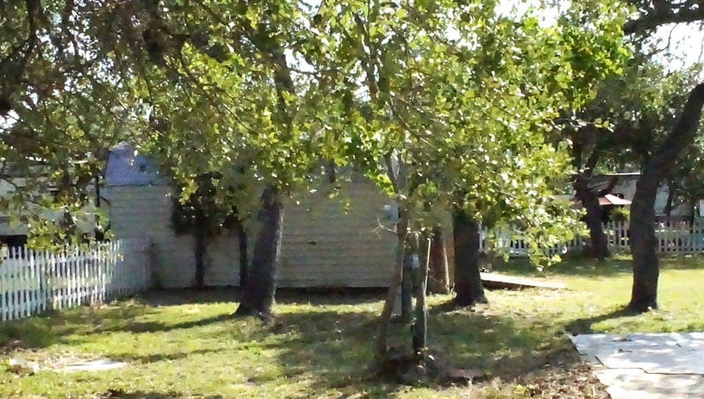 0 acres in Texas County - photo 16