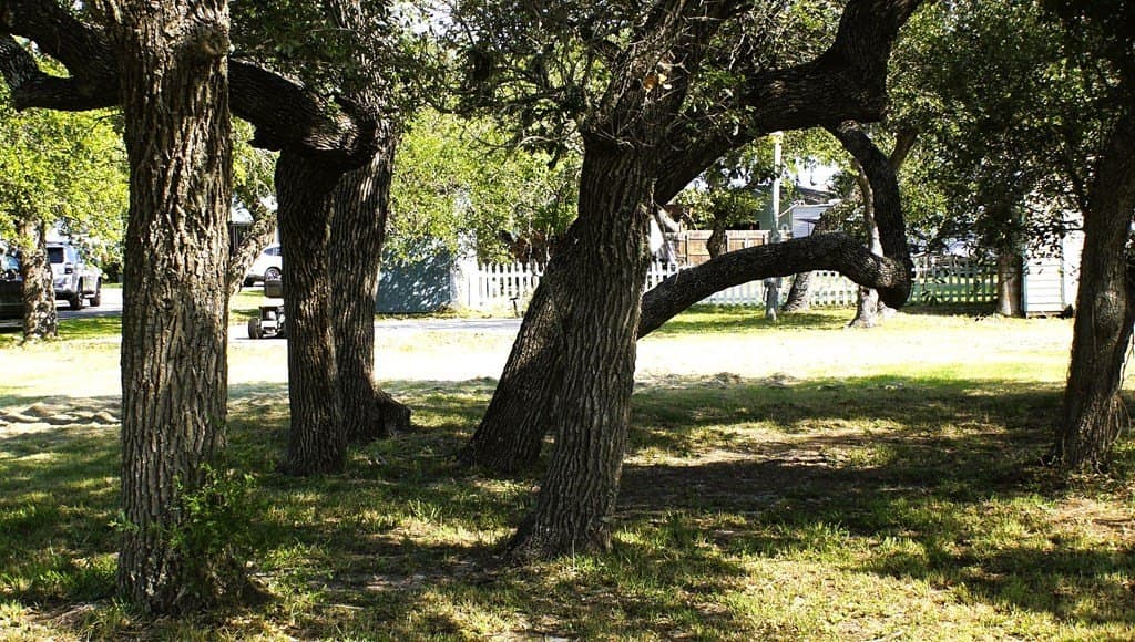 0 acres in Texas County - photo 13