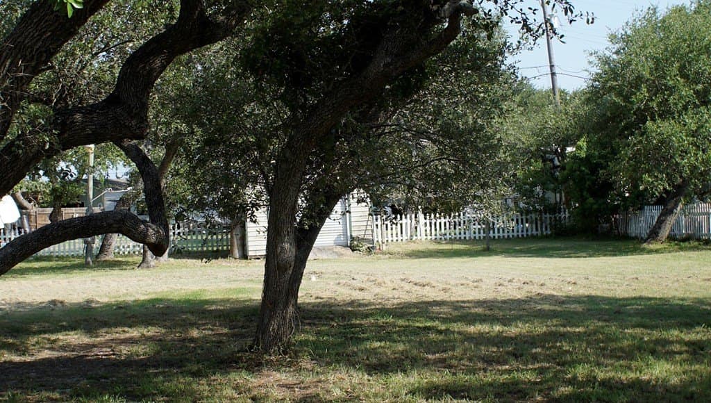 0 acres in Texas County - photo 12