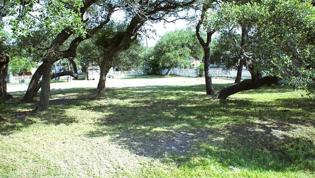 0 acres in Texas County - photo 11