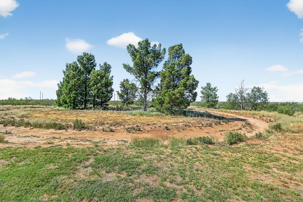 78.75 acres in Midland County - photo 28