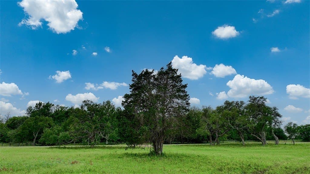 8.75 acres in Fayette County - photo 28