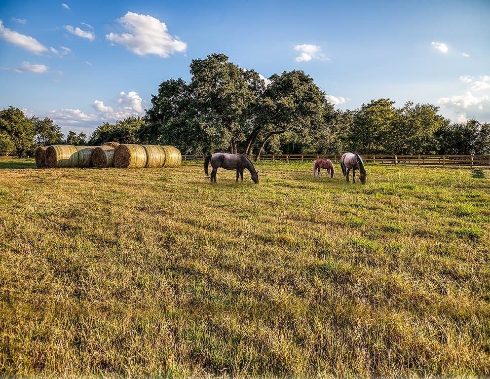 8.75 acres in Fayette County - photo 27