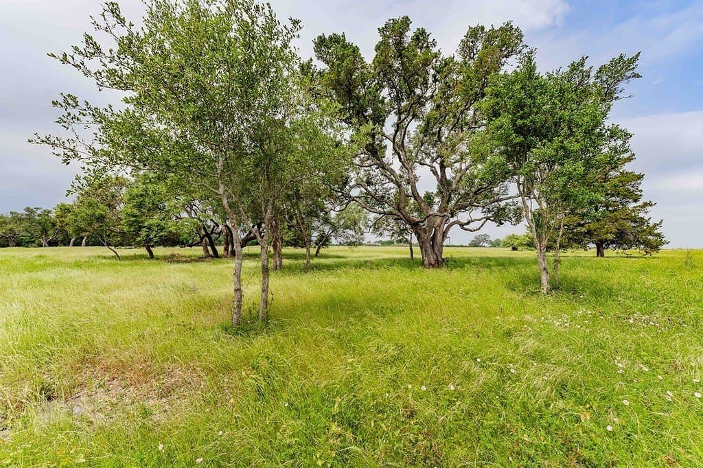 8.75 acres in Fayette County - photo 14