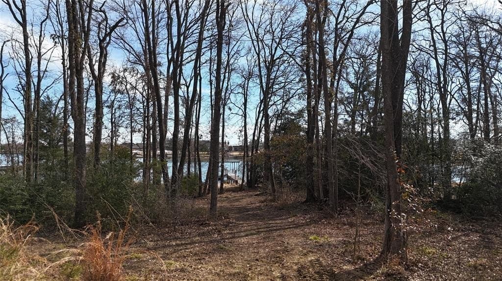 0.58 acres in Navarro County - photo 11
