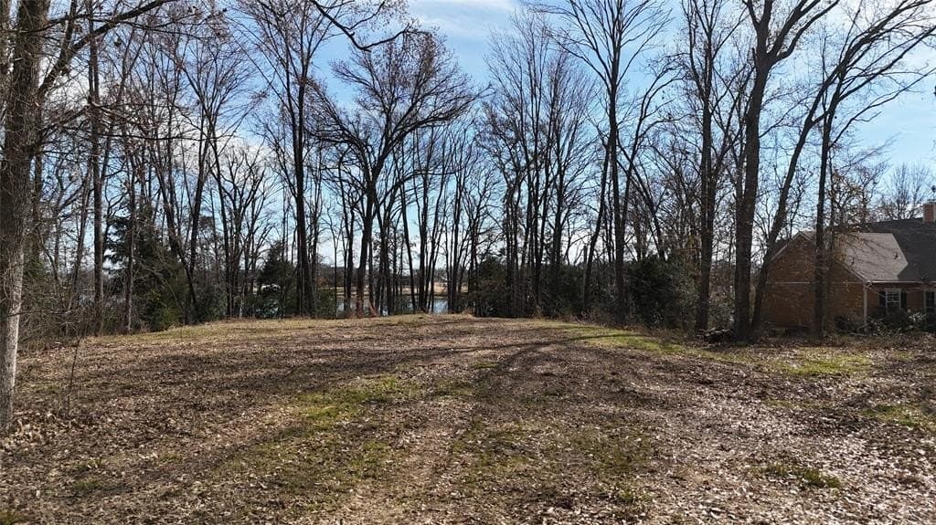 0.58 acres in Navarro County - photo 16