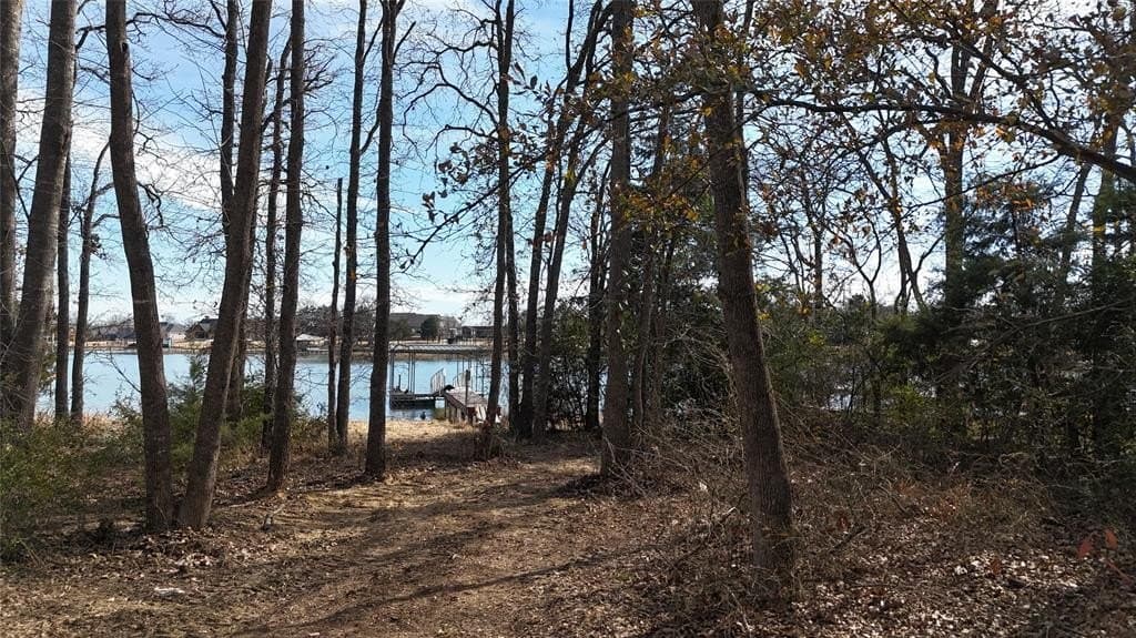0.58 acres in Navarro County - photo 13
