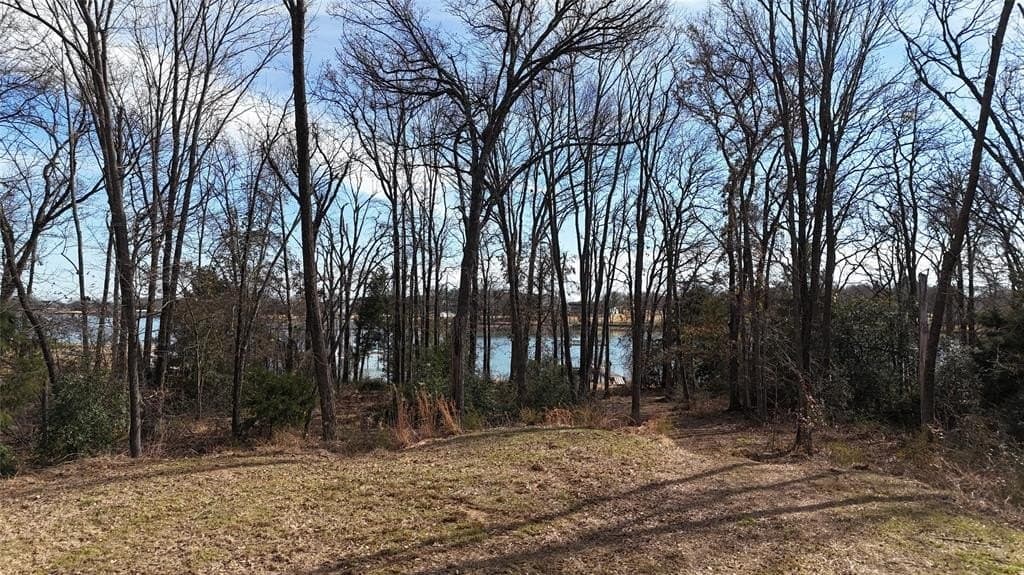 0.58 acres in Navarro County - photo 10