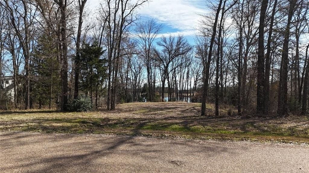0.58 acres in Navarro County - photo 6