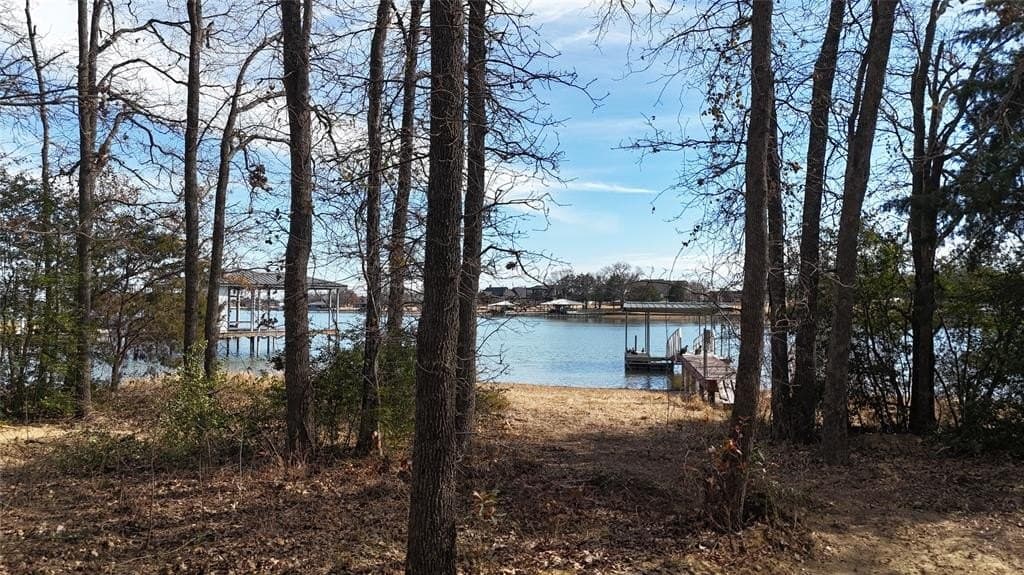 0.58 acres in Navarro County - photo 18