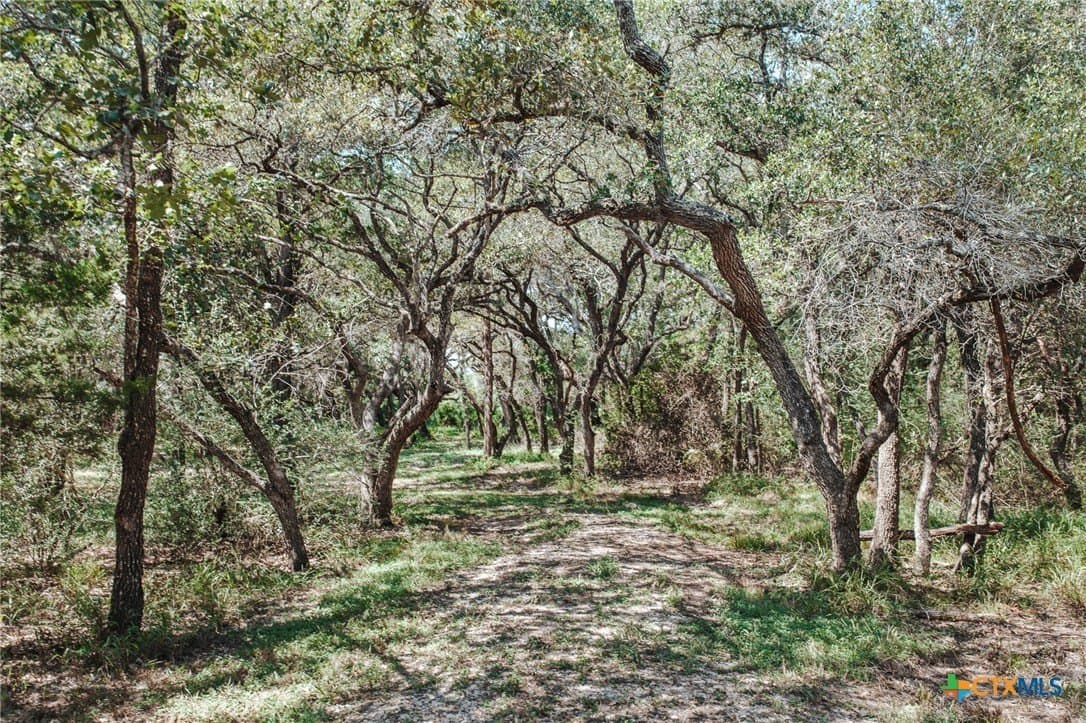 25.03 acres in Victoria County - photo 16