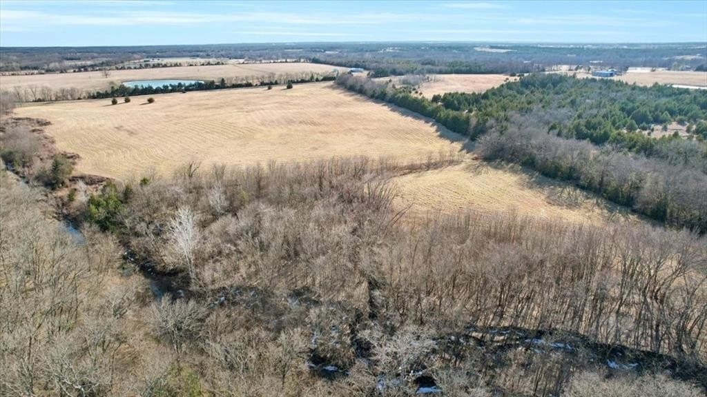 28.51 acres in Lamar County - photo 19