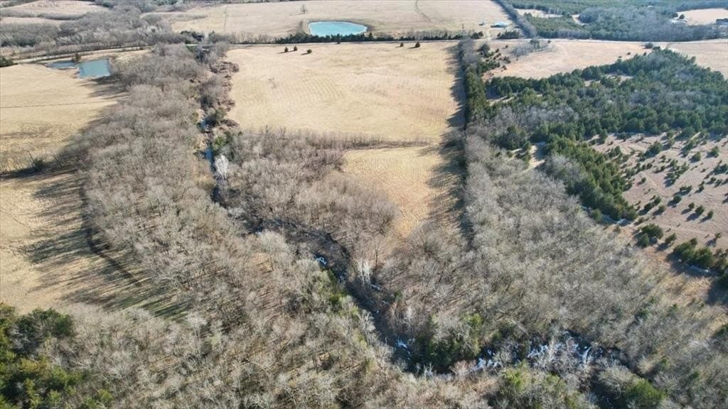 28.51 acres in Lamar County - photo 17