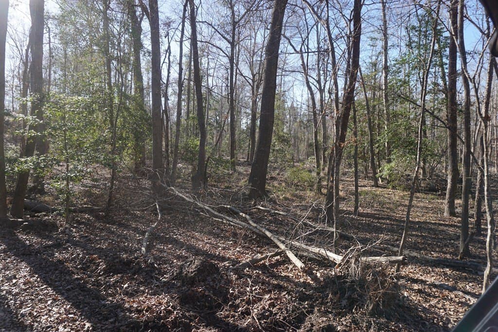 16.92 acres in LEON County - photo 4