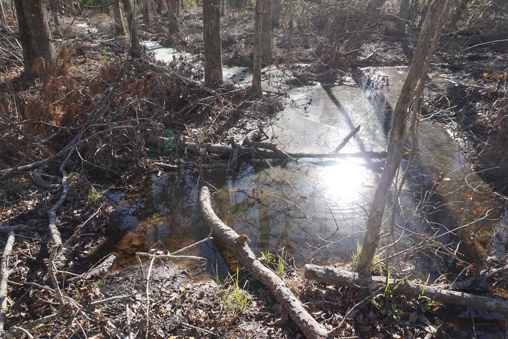 16.92 acres in LEON County - photo 3