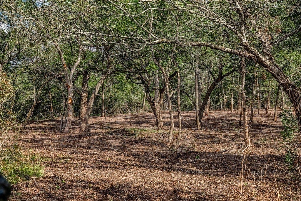 20.5 acres in Washington County - photo 8