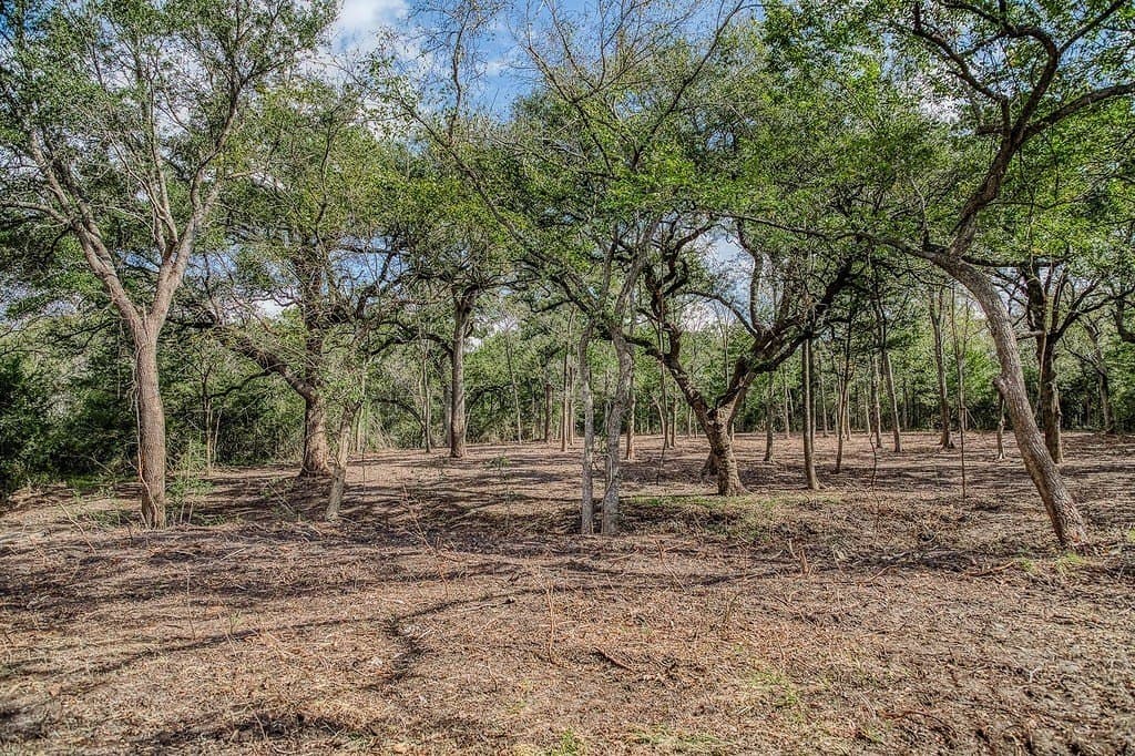 20.5 acres in Washington County - photo 12