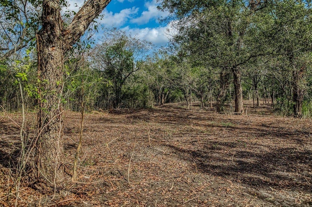 20.5 acres in Washington County - photo 9