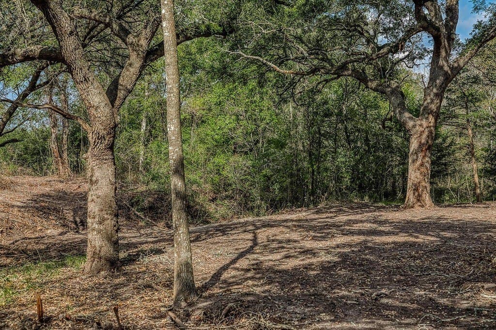 20.5 acres in Washington County - photo 4