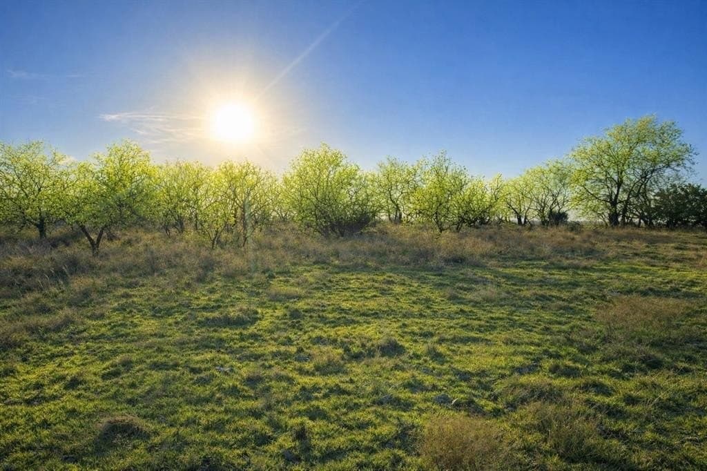 161.11 acres in Hamilton County - photo 2