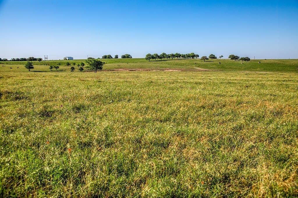 25.21 acres in Washington County - photo 4