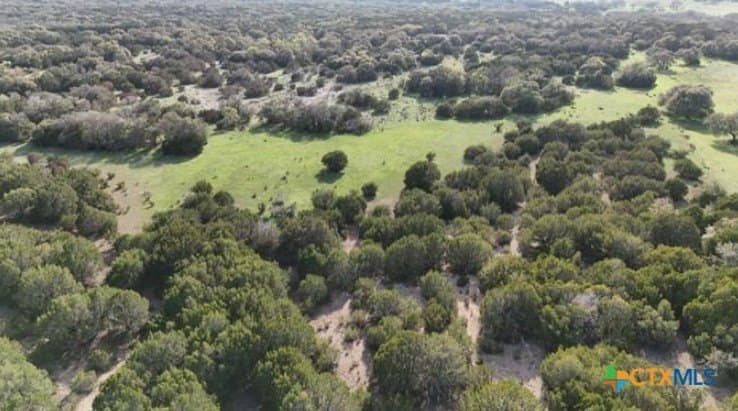 60.15 acres in Burnet County - photo 6