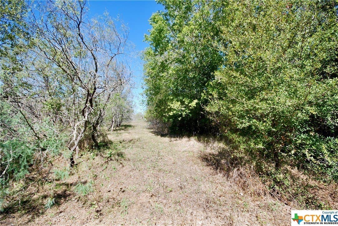 13.22 acres in Fayette County - photo 7