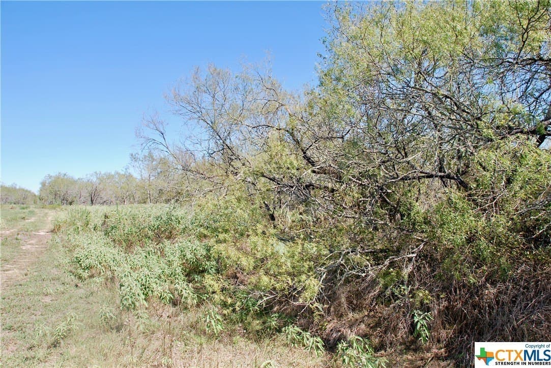 13.22 acres in Fayette County - photo 5