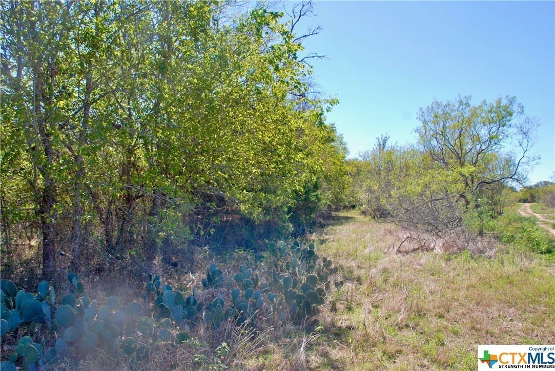 13.22 acres in Fayette County - photo 4