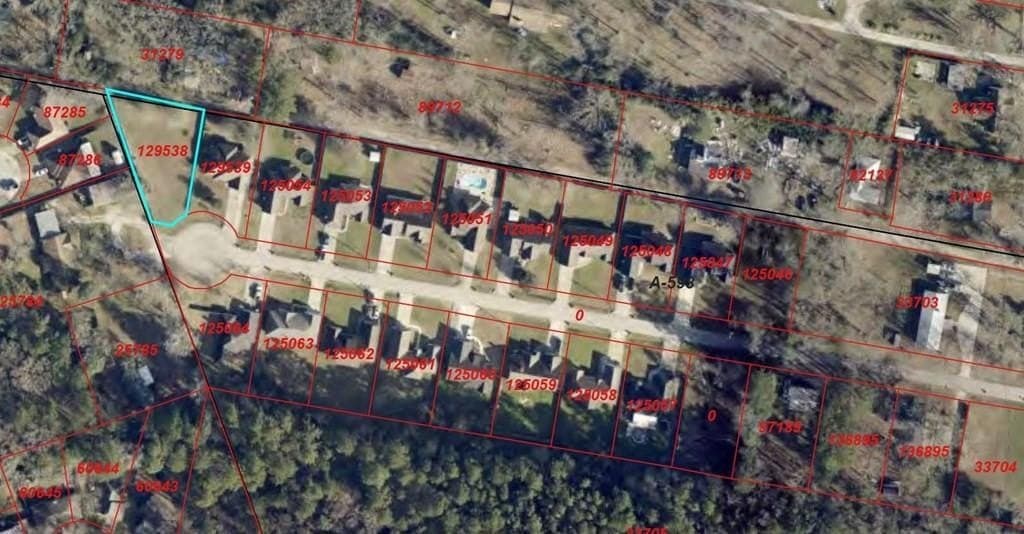 0.31 acres in Angelina County - photo 4