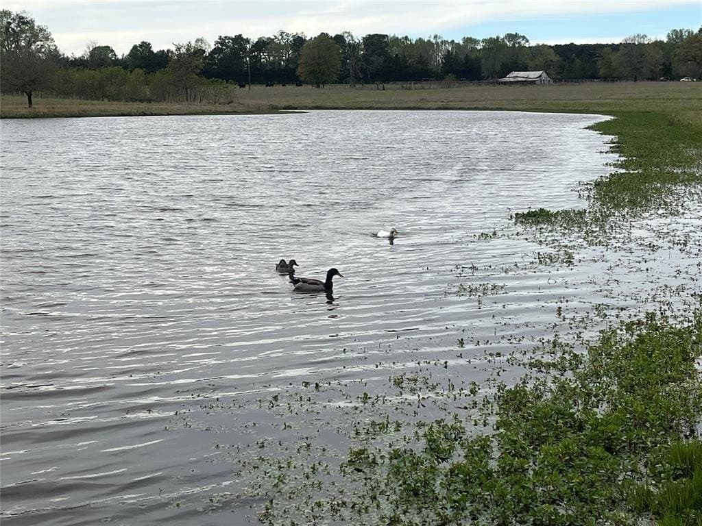 112 acres in Cherokee County - photo 39