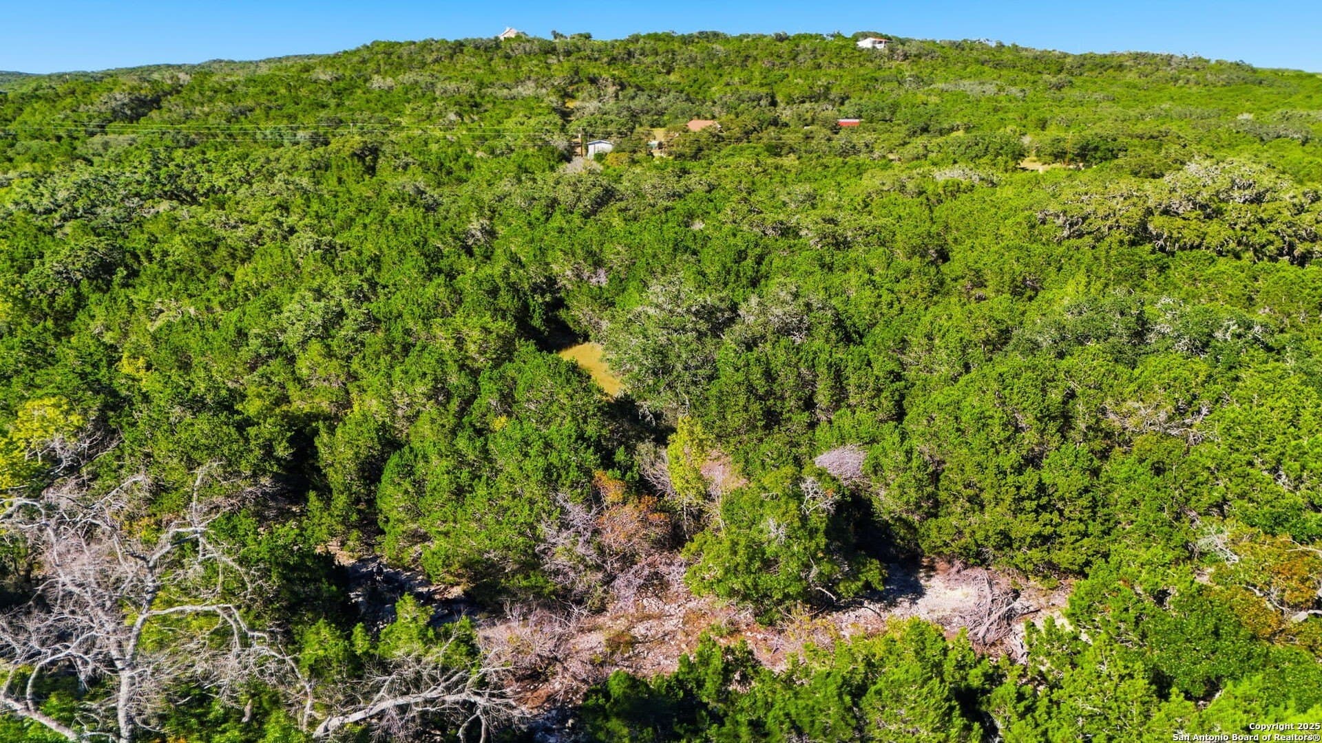 10 acres in Medina County - photo 15