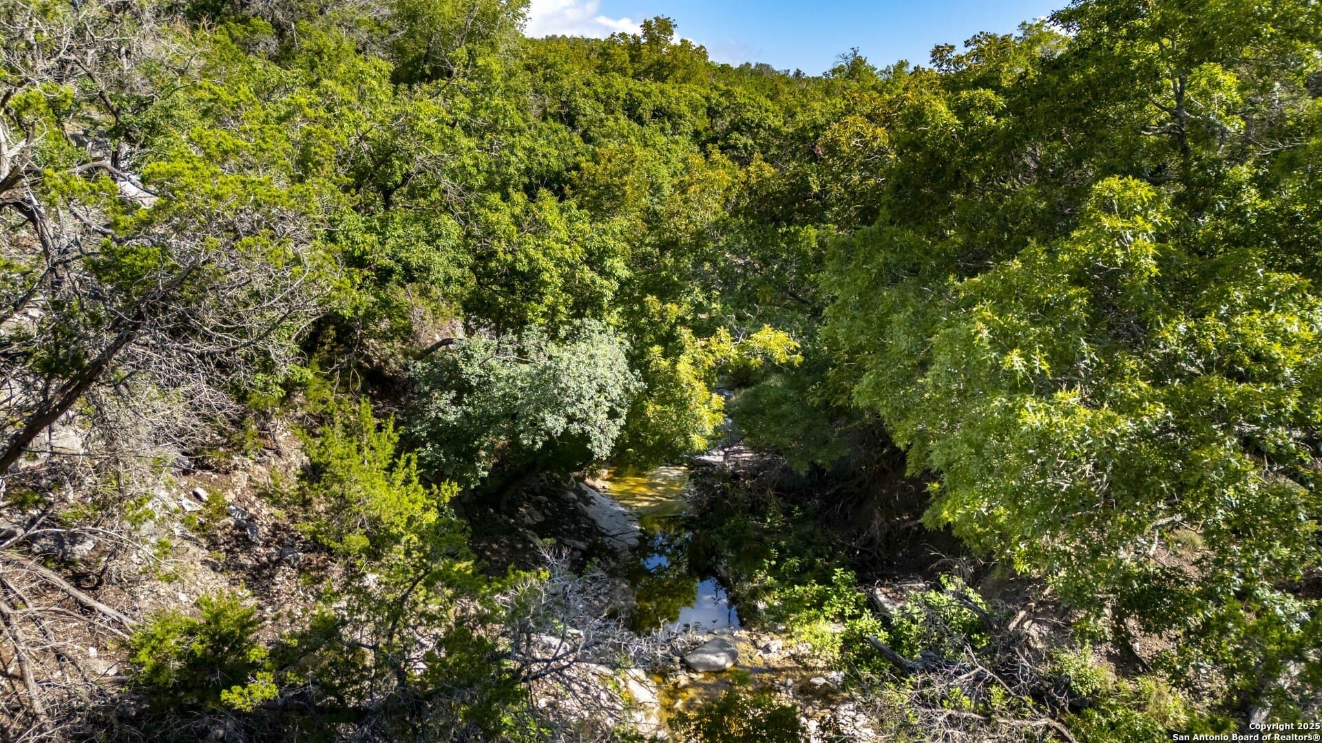 15.01 acres in Gillespie County - photo 19