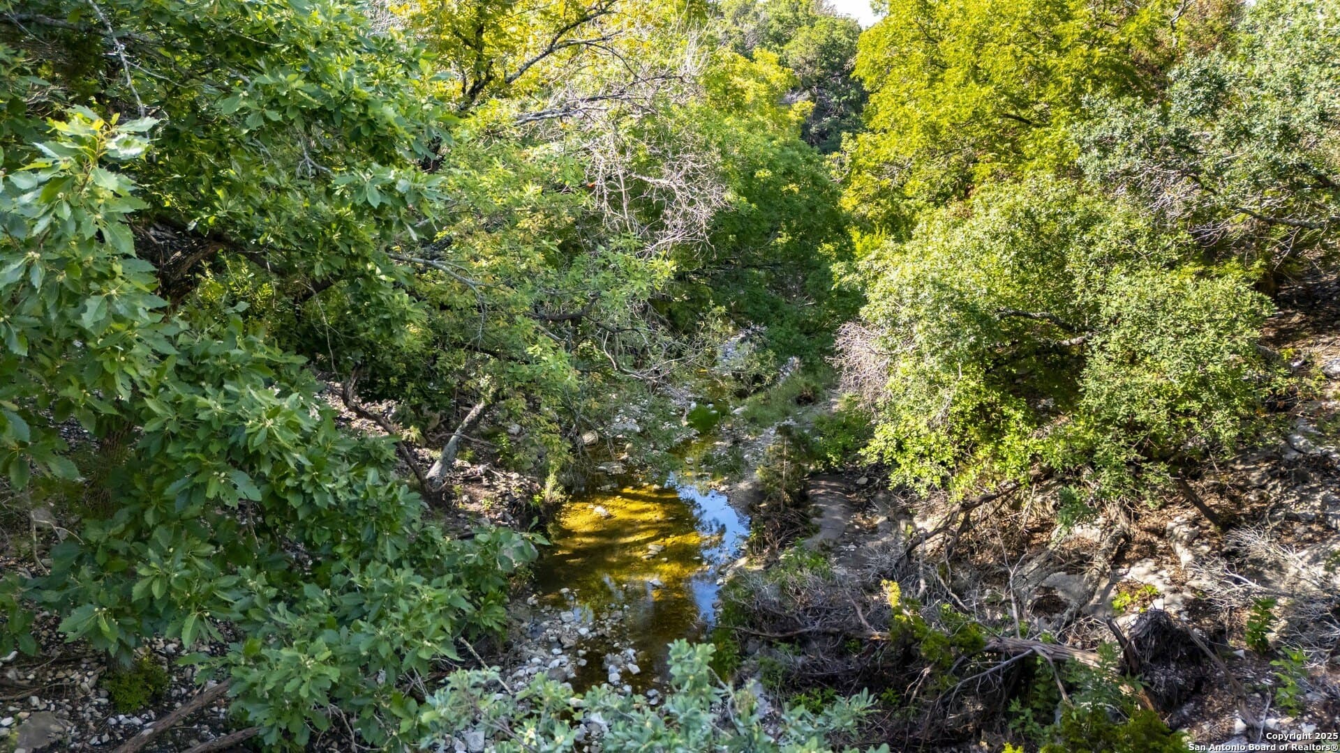 15.01 acres in Gillespie County - photo 16