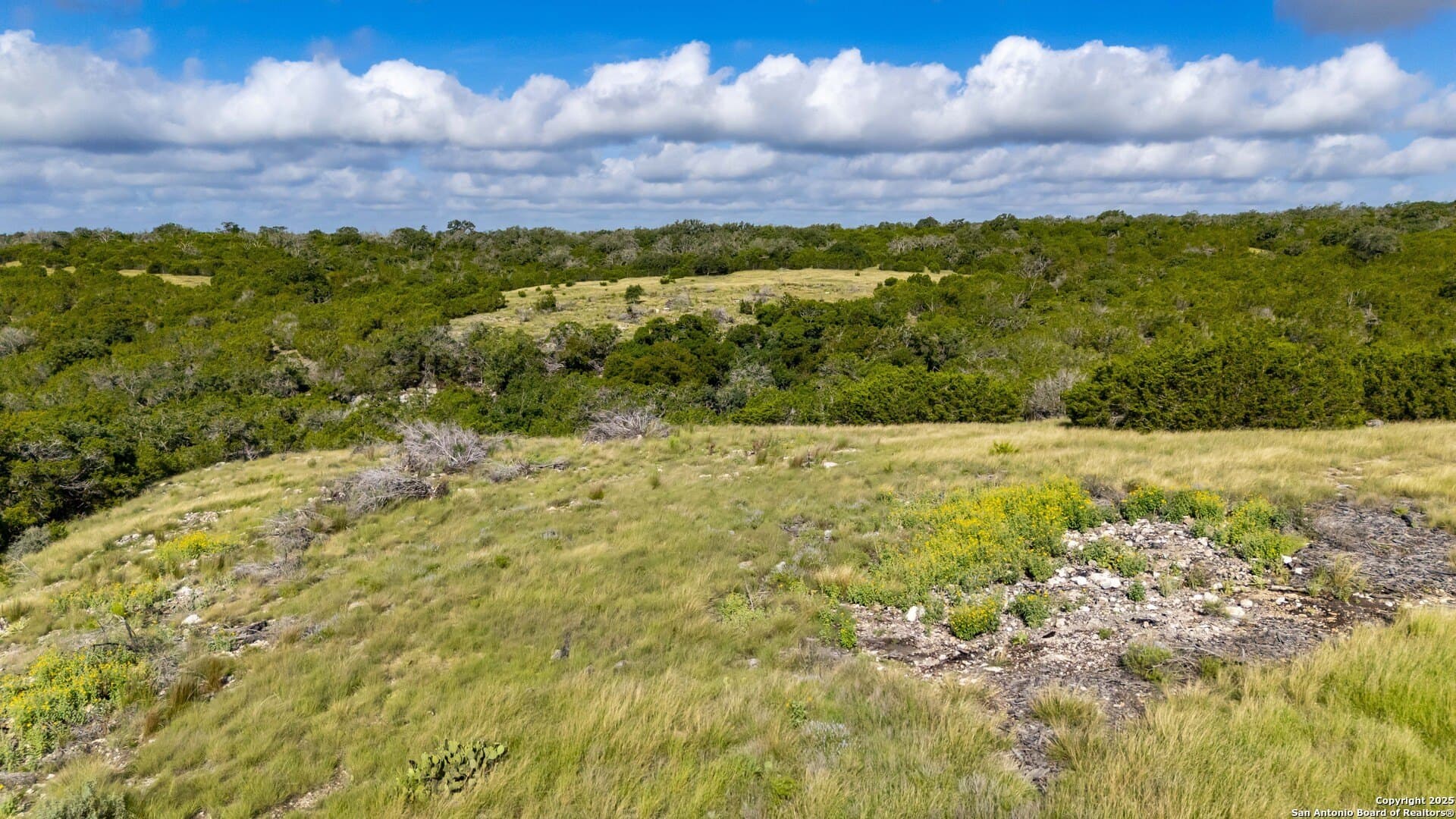 15.01 acres in Gillespie County - photo 9