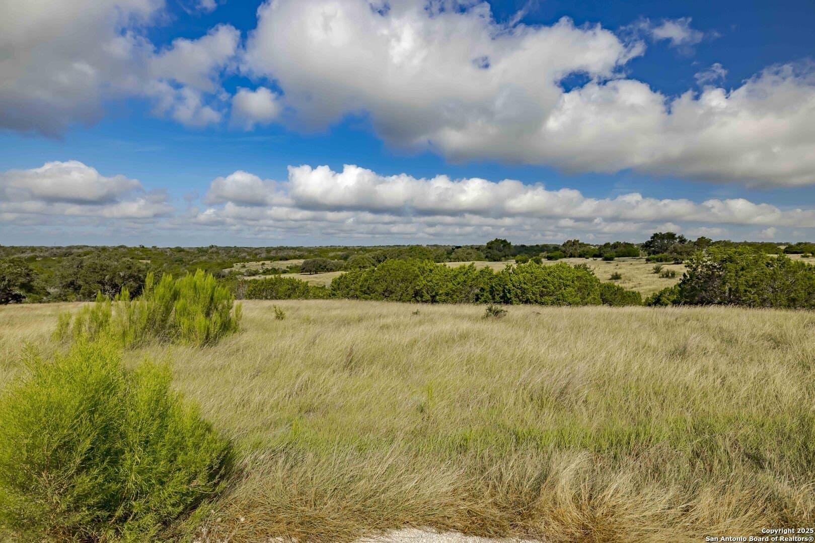 15.01 acres in Gillespie County - photo 5